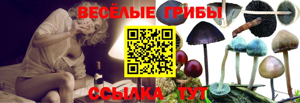 Галлюциногенные грибы Magic Shrooms Ессентуки